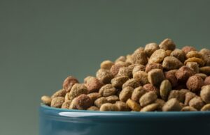 Как выбрать идеальный корм для питомца: советы и рекомендации