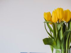 Поздравление с днем рождения: идеи подарков