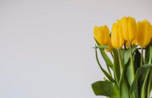 Поздравление с днем рождения: идеи подарков