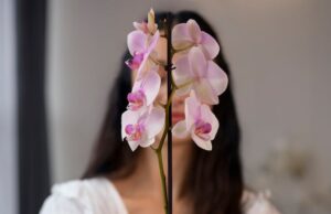 Гладиолус во сне: толкование сна