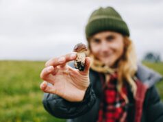 Сон о червях и гусеницах: толкование