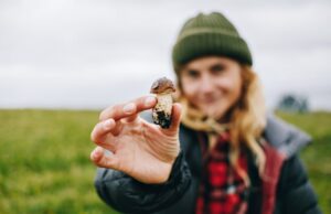 Сон о червях и гусеницах: толкование
