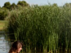 Сон о чистой речке: толкование