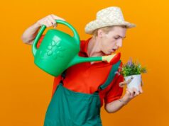 Полив огорода во сне: женский подход