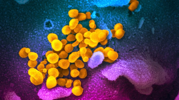Врач предрек появление новых опасных пандемий